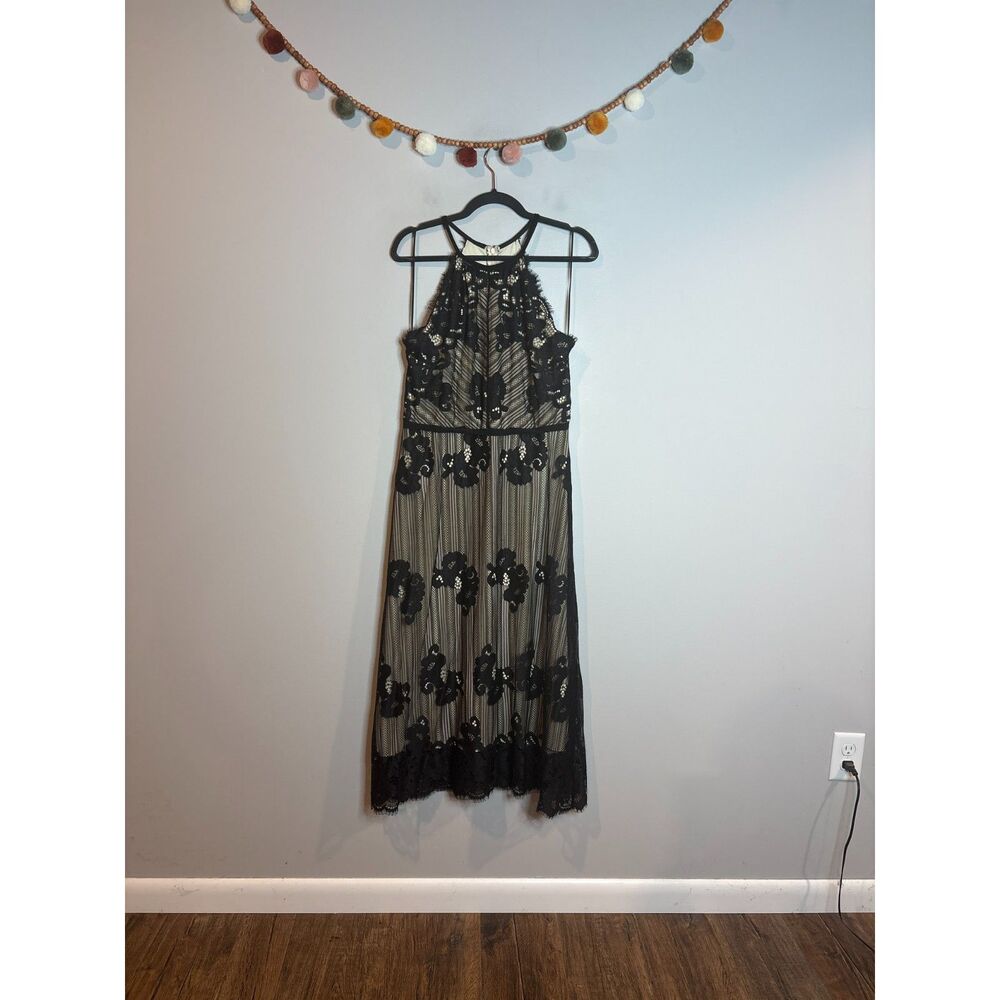NWT Chelsea & Violet black and cream lacy high neck dress
